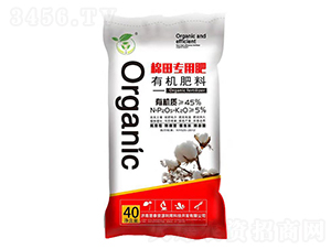 ������ЙC(j��)����-��̩