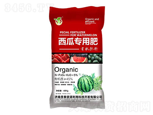 ���ό����ЙC(j��)����-��̩