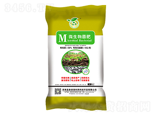 ΢�������-��̩