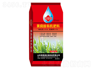 �S�����ЙC(j��)����-���Դ-�T���M