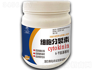 ��(x��)�������أ�1000g��-ֲ�^-�����r(n��ng)�I(y��) 