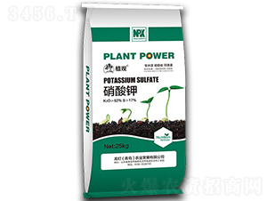 �����-ֲ�^-�����r�I(y��)