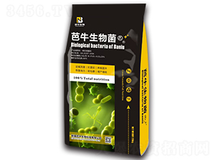 ��ţ�����-��ţ����