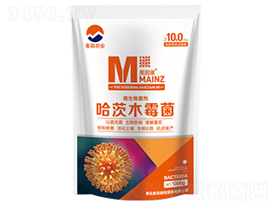 ����ľù����΢���������-�����r(n��ng)�I(y��)