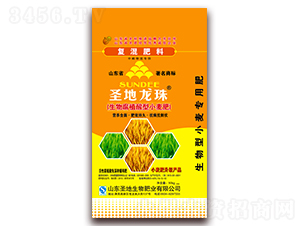 ���ֲ︯����С����-ʥ������