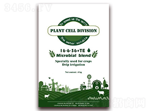 �ͺ�΢����ˮ�ܷ�16-6-36+TE-ʥ������