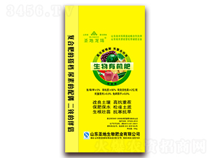 �����ЙC��-ʥ������