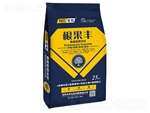 �����S���S����⛛_��-����