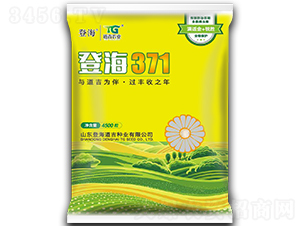 �Ǻ�371-���׷N��-�Ǻ�����