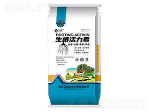 ����������-�|��