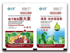 ���¸��o�����+���塤��ϴ��M(j��n)��-�|��