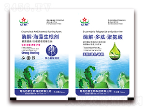 ø�⡤����������+ø�⡤���ġ��۰���-�|��