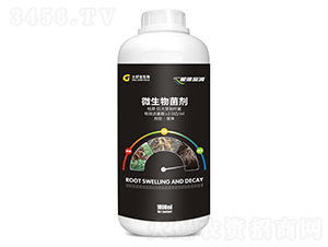 1000ml΢�������-���[����-���ý�