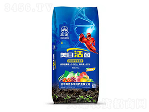 ����΢�������-���ջ��-�ڱ���