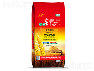 �t�������(f��)�Ϸ�20-22-8-���M̩