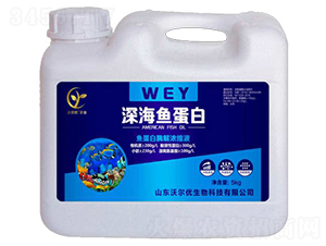 ��~���ף�5kg��-ɽ�|�֠���(y��u)