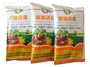 ��ʩ���-��������