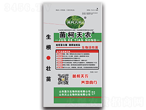 �������-�������r(n��ng)-��������