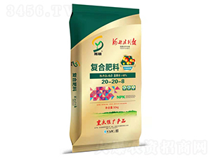 �ͺϷ���20-20-8-���-��ʢ�ʘI(y��)