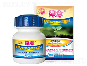 營(yíng)養(yǎng)生長(zhǎng)期專(zhuān)用葉面肥-綠意-吉順