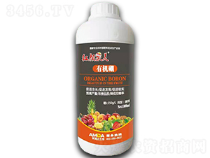 �ЙC��-�t���-��ķ�_(d��)