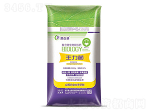 ���䌣�Ï�(f��)��΢�����ЙC(j��)��-������-�r(n��ng)��