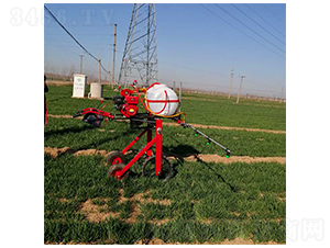 �ַ�����ʽ��ˎ�C(1)-����Cе