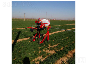 �ַ�����ʽ��ˎ�C(2)-����Cе