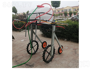 �ַ�����ʽ��ˎ�C(4)-����Cе