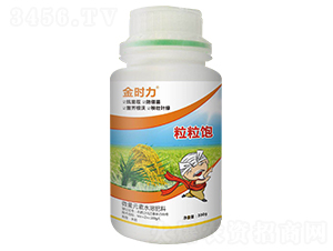 水稻粒粒飽-金時力-大農生物