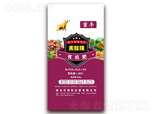 �������ЙC(j��)����-�Uţ-������