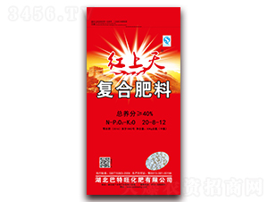 ��(f��)�Ϸ���22-8-12-�t����-������