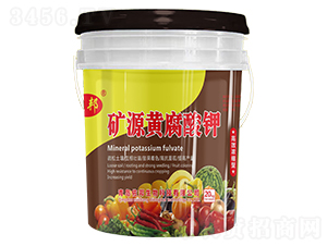 �VԴ�S�����-����