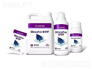 �}���}-�����o(h��)-�Խ