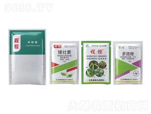 �̿أ��Ϲ��߲ˌ��ã�-���ƻ���