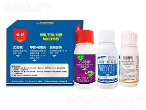 �������砀�����μ��g��-�ƿ�-�����r(n��ng)��