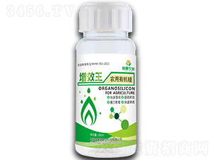 ��Ч�����r(n��ng)���ЙC(j��)�裩-Ψϲ�r(n��ng)�I(y��)