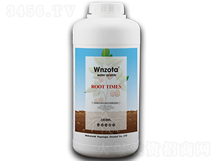 ���������������ߝ�s�ЙC��ֲ�����w����-���R