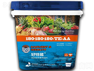 �~���z�w�Ҹ�����180-180-180+TE+AA-������-ꖹ�G��