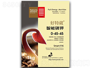 �������-������-ꖹ�G��