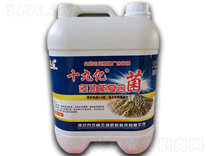 ʮ�Ń|�๦�܏ͺϾ�-������-��������