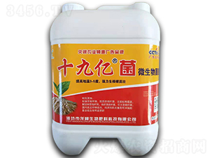 ʮ�Ń|��΢�������-������-��������