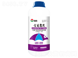 ȫ�����]����ע��Q������������}��-����ʩ-�϶�a(ch��n)