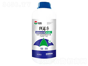 ���Y(ji��)���x������΄�-������-�϶�a(ch��n)