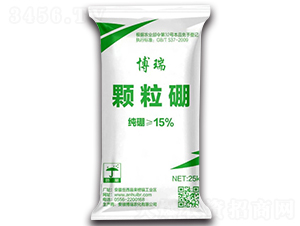 �w����ʩ���-����