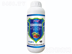 �����Ǵ��}�V�\���F-�a(ch��n)�S��-�A��(chu��ng)����