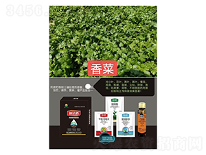 ���砀���M���ײͣ���ˌ��ã�-�Ϸ�·-�Z�M�� 