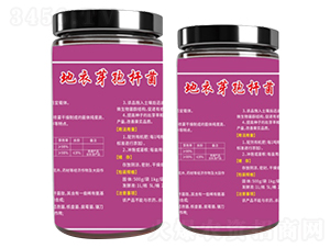 ����ѿ�ߗU��-ָ���