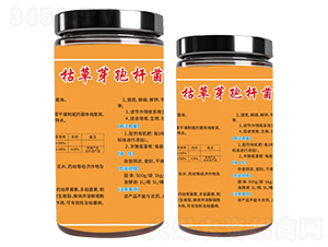 �ݲ�ѿ�ߗU��-ָ���