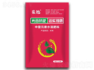 ��Ͽ���Y(ji��)�����|(zh��)-���-�����r(n��ng)��